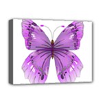 Purple Awareness Butterfly Deluxe Canvas 16  x 12  (Framed) 