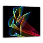 Peacock Symphony, Abstract Rainbow Music Canvas 20  x 16  (Framed)