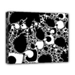Special Fractal 04 B&w Deluxe Canvas 20  x 16  (Framed)