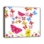 Butterfly Beauty Deluxe Canvas 20  x 16  (Framed)