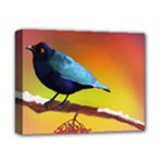 The Blue Bird Deluxe Canvas 14  x 11  (Stretched)
