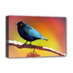 The Blue Bird Deluxe Canvas 18  x 12  (Stretched)