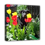 Black GSD Pup Mini Canvas 8  x 8  (Framed)