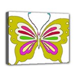 Color Butterfly  Deluxe Canvas 20  x 16  (Framed)