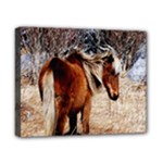 Pretty Pony Canvas 10  x 8  (Framed)
