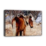 Pretty Pony Deluxe Canvas 18  x 12  (Framed)