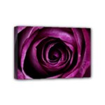Deep Purple Rose Mini Canvas 6  x 4  (Framed)