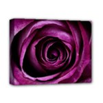 Deep Purple Rose Deluxe Canvas 14  x 11  (Framed)
