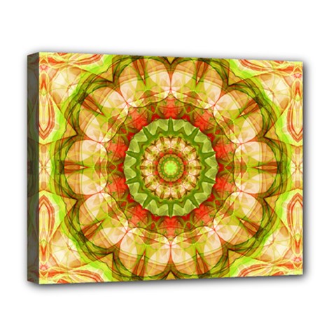 Red Green Apples Mandala Deluxe Canvas 20  x 16  (Framed) from UrbanLoad.com