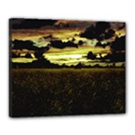 Dark Meadow Landscape  Canvas 20  x 16  (Framed)