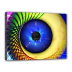 Eerie Psychedelic Eye Canvas 16  x 12  (Framed)