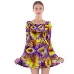 Golden Violet Crystal Palace, Abstract Cosmic Explosion Long Sleeve Skater Dress
