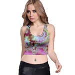 Raspberry Lime Delighraspberry Lime Delight, Abstract Ferris Wheel Racer Back Crop Top