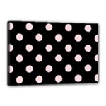 Polka Dots - Pale Pink on Black Canvas 18  x 12  (Stretched)