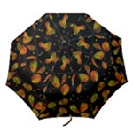 Floral abstraction Folding Umbrellas