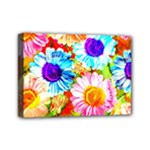 Colorful Daisy Garden Mini Canvas 7  x 5 