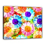 Colorful Daisy Garden Canvas 20  x 16 