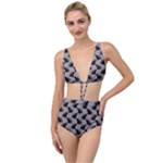 Black Cats On Gray Tied Up Two Piece Swimsuit