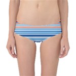 Blue And Coral Stripe 2 Classic Bikini Bottoms