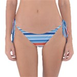 Blue And Coral Stripe 2 Reversible Bikini Bottom