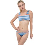 Blue And Coral Stripe 2 The Little Details Bikini Set