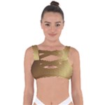 Gold, Golden Background ,aesthetic Bandaged Up Bikini Top