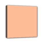 Peach Fuzz 2024 Mini Canvas 6  x 6  (Stretched)
