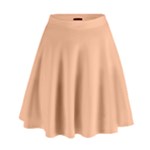 Peach Fuzz 2024 High Waist Skirt