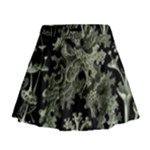 Weave Haeckel Lichenes Photobionten Mini Flare Skirt