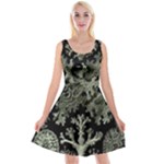 Weave Haeckel Lichenes Photobionten Reversible Velvet Sleeveless Dress