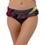 Texture Abstract Curve  Pattern Red Frill Bikini Bottoms