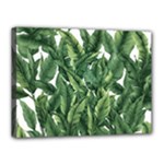Tropical leaves Canvas 16  x 12  (Stretched)