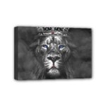 Lion King Of The Jungle Nature Mini Canvas 6  x 4  (Stretched)