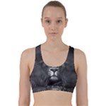 Lion King Of The Jungle Nature Back Weave Sports Bra