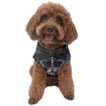 Lion King Of The Jungle Nature Dog Sweater