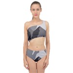 Mountain Wolf Tree Nature Moon Spliced Up Two Piece Swimsuit