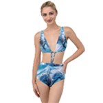 Dolphin Swimming Sea Ocean Tied Up Two Piece Swimsuit