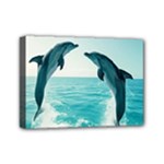 Dolphin Sea Ocean Mini Canvas 7  x 5  (Stretched)