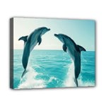 Dolphin Sea Ocean Canvas 10  x 8  (Stretched)