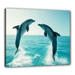 Dolphin Sea Ocean Canvas 24  x 20  (Stretched)