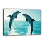 Dolphin Sea Ocean Canvas 18  x 12  (Stretched)