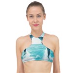 Dolphin Sea Ocean High Neck Bikini Top