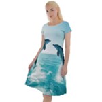 Dolphin Sea Ocean Classic Short Sleeve Dress