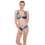 Dolphins Sea Ocean Water Classic Banded Bikini Set 