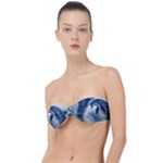 Dolphins Sea Ocean Water Classic Bandeau Bikini Top 