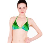 3d Leaves Texture Sheet Blue Green Classic Bikini Top