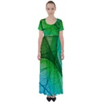 3d Leaves Texture Sheet Blue Green High Waist Short Sleeve Maxi Dress