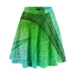 3d Leaves Texture Sheet Blue Green High Waist Skirt