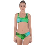 3d Leaves Texture Sheet Blue Green Criss Cross Bikini Set