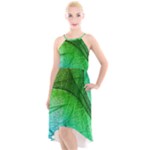 3d Leaves Texture Sheet Blue Green High-Low Halter Chiffon Dress 